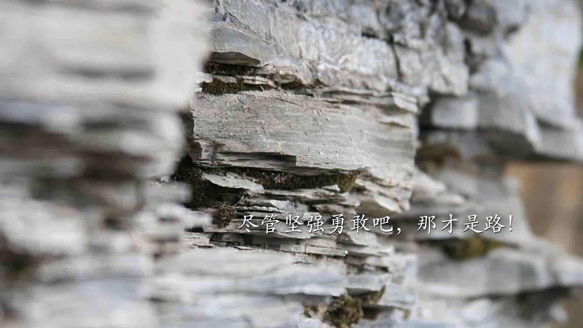 开拓者横扫热火晋级,伦纳德再证大场面先生本色—NBA季后赛的荣耀与传奇