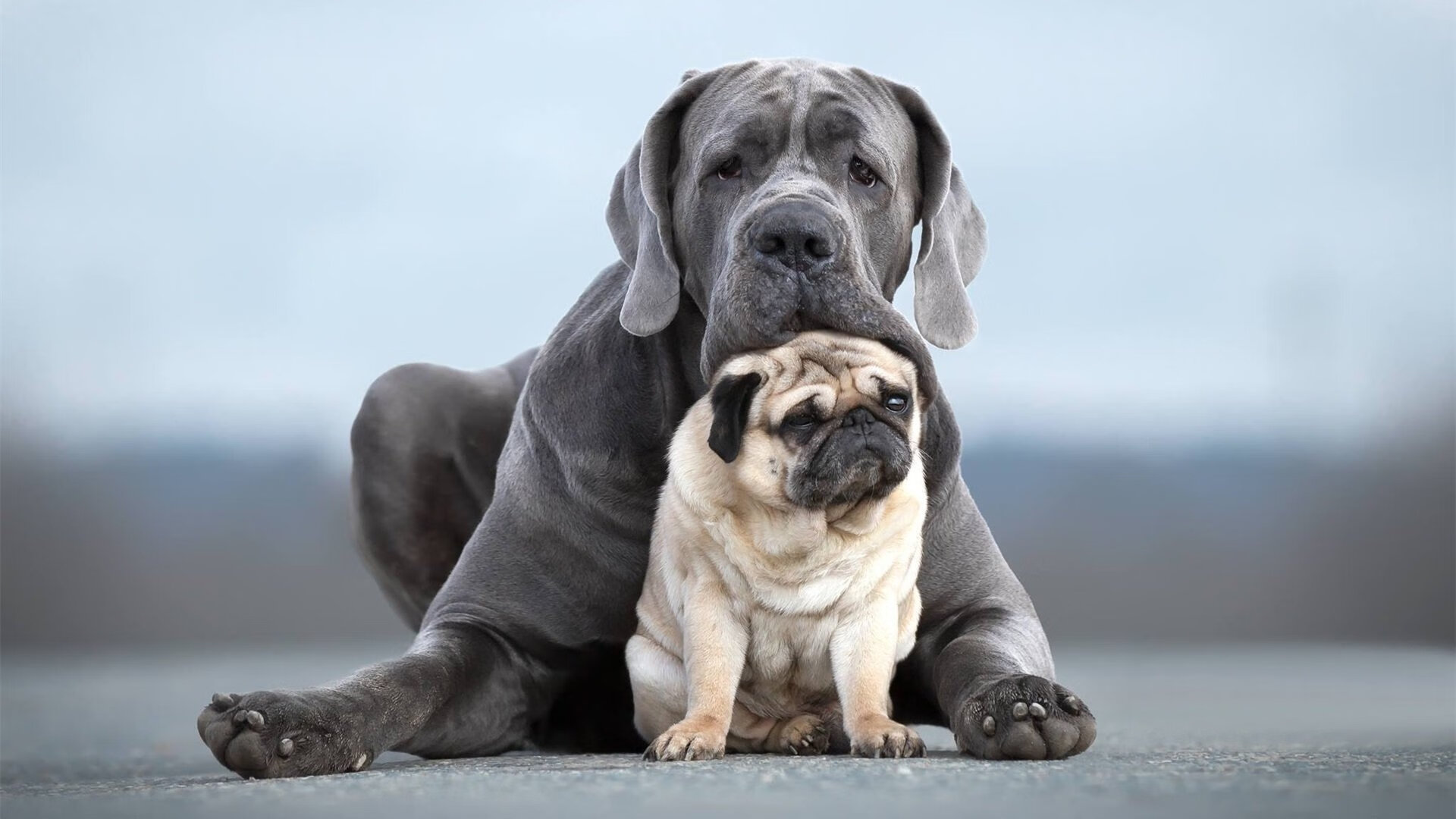 开云体育官网-火箭队碾压山西队，马克西关键时刻站出来主宰比赛，年轻新星闪耀友谊赛